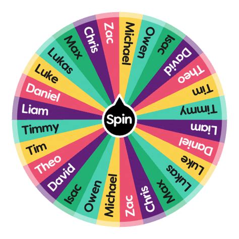 random name generator wheel spin.